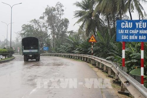 Quảng Ngãi rà soát các dự án trồng cây xanh, chỉnh trang đô thị
