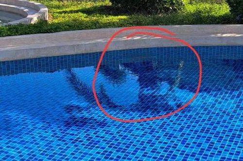 Giám định hồ bơi tại resort Phan Thiết trong vụ án bé trai người Nhật đuối nước