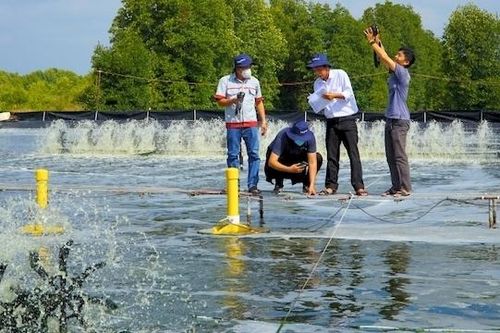 Tép Bạc muốn huy động vốn 20 triệu USD
