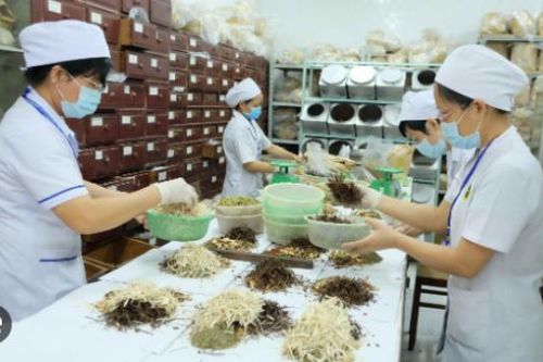 Bộ Y tế đề xuất tiêu chuẩn xét tặng giải thưởng Hải Thượng Lãn Ông về công tác y dược cổ truyền