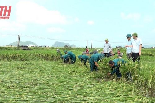 Vĩnh Lộc: Khẩn trương khắc phục thiệt hại sản xuất sau ảnh hưởng của mưa lớn