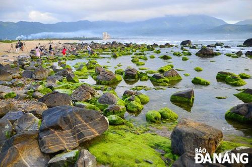 Dọn dẹp vệ sinh môi trường quanh ghềnh đá Nam Ô