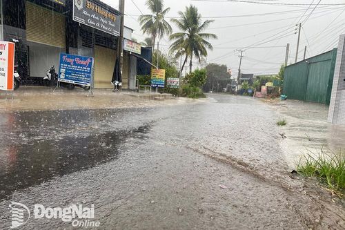 Mưa lớn đầu mùa đã xuất hiện tại nhiều địa phương