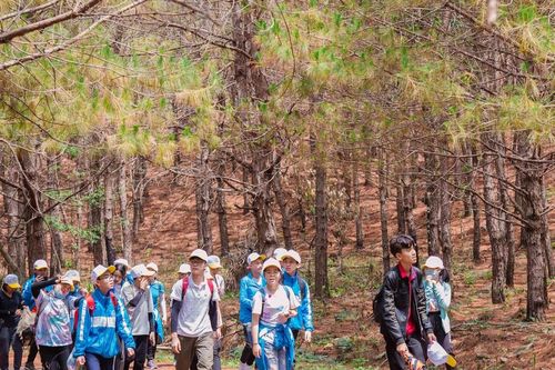 Du lịch học đường: Nhiều dư địa