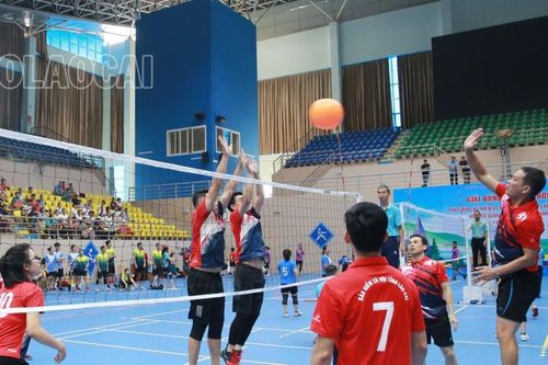 48 đoàn vận động viên tham gia tranh tài tại Giải bóng chuyền hơi Đảng bộ Khối Cơ quan – Doanh nghiệp tỉnh