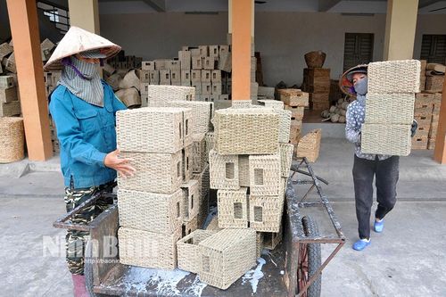 Nghề cói Kim Sơn trở thành Di sản văn hóa phi vật thể quốc gia