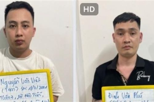 Phá băng nhóm dùng 'app tình yêu' lừa hơn 50 tỷ đồng