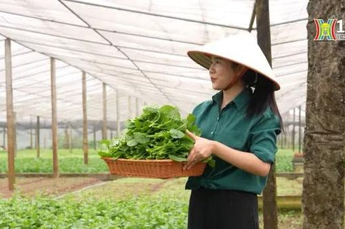 Xu hướng kinh doanh nông sản sạch online