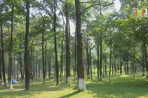Hà Nội xử lý tình trạng lấn chiếm đất rừng