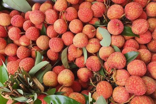 Vải u hồng chín sớm, giá cao ngất hơn 100.000 đồng/kg vẫn hút khách