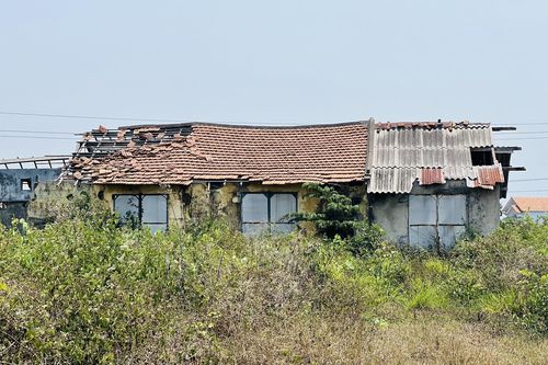 Thảm cảnh ở Cty lâm nghiệp Trà Tân: Giám đốc bị nợ lương 10 năm, trụ sở đổ nát