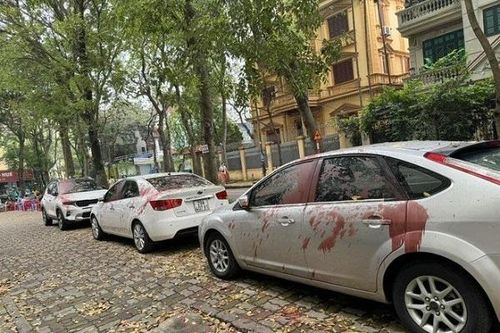 Bắt các đối tượng tạt sơn hàng loạt xe ô tô ở phường Định Công
