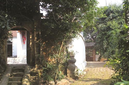 Hàng rào quê