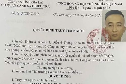 Gia Lai: Bắt tạm giam 7 đối tượng tự xưng nhà báo về tội cưỡng đoạt tài sản