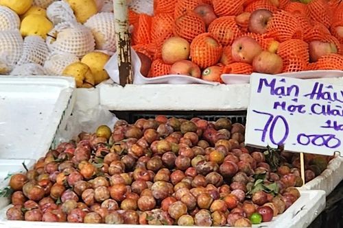 Thành phố muôn vị