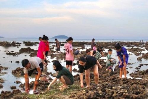 Nhiều người đổ ra biển 'uy hiếp' rạn san hô vịnh Nha Trang