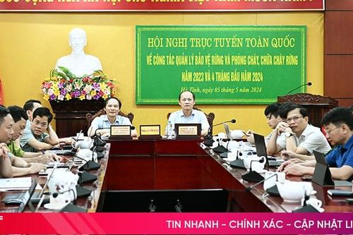 Tăng cường các biện pháp cấp bách phòng cháy, chữa cháy rừng