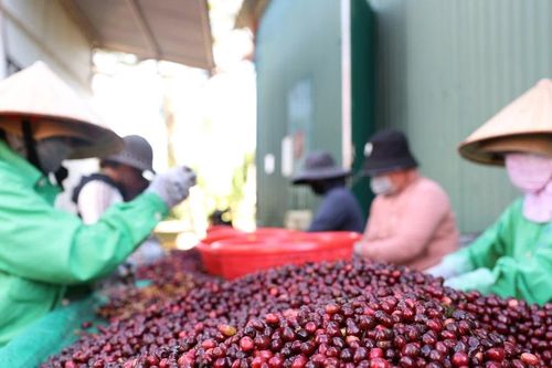 Nhiều tiềm năng và cơ hội cho hàng Việt Nam tại thị trường châu Phi