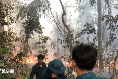 Tây Ninh: Huy động hơn 100 người chữa cháy rừng tại Vườn quốc gia Lò Gò-Xa Mát