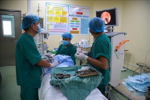 Bạc Liêu: Lấy ấu trùng ra khỏi tai bé 16 tháng tuổi