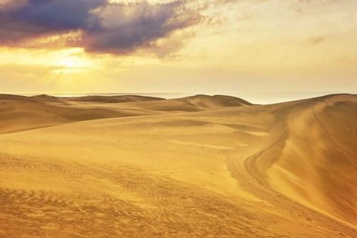 Những sự thật thú vị về sa mạc Sahara