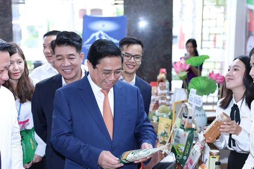 Tây Ninh phát triển kinh tế dựa trên nông nghiệp công nghệ cao