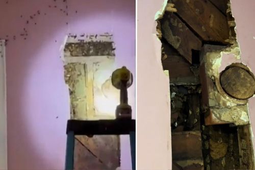Con gái 3 tuổi nói có quái vật sau tường, bố mẹ kiểm tra liền 'rùng mình' trước sự thật