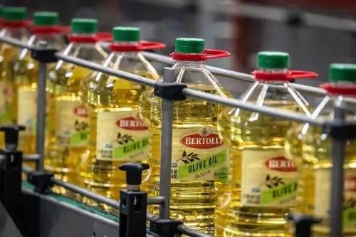 Ngành dầu ô liu đang phải đối mặt với thời điểm khó khăn nhất lịch sử