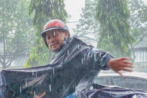 'Mưa vàng' đã xuất hiện nhiều nơi ở Đồng bằng sông Cửu Long