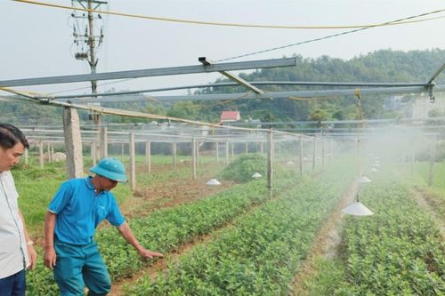 Năm 2024, phấn đấu có thêm 11 xã đạt chuẩn nông thôn mới