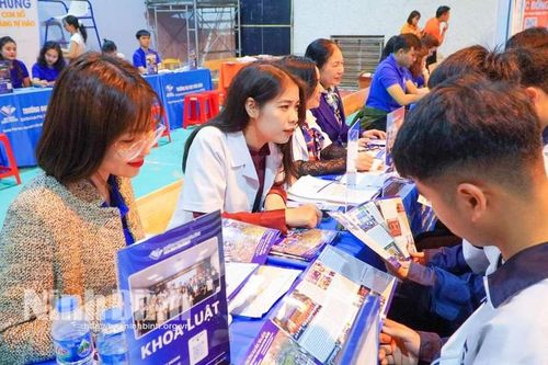 Tập trung tư vấn, hướng nghiệp cho học sinh lớp 12