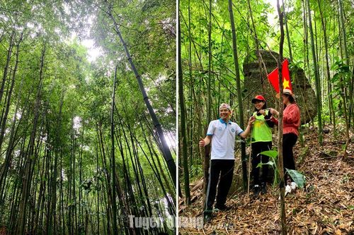 Trải nghiệm rừng Tân Trào