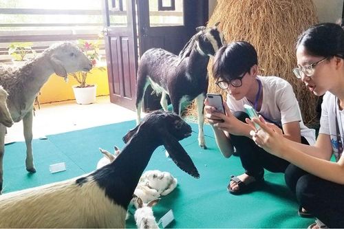 Bảo tàng Thiên nhiên duyên hải miền Trung: Cần không gian đúng nghĩa