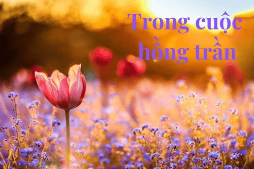 Cuộc hồng trần