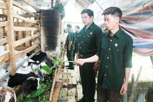 Cựu chiến binh tích cực tham gia xây dựng nông thôn mới