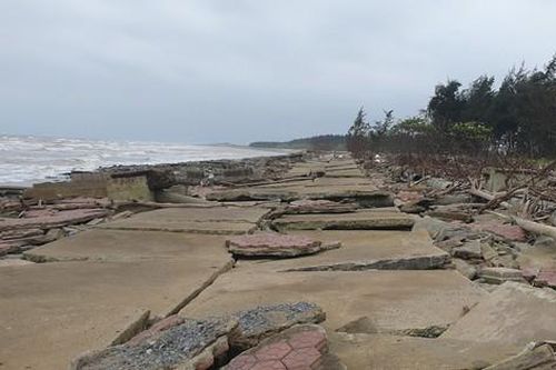 Nguy hiểm kè biển khu du lịch sinh thái Rạng Đông Nam Định có chức năng chắn sóng, bảo vệ rừng... sạt lở, tan hoang