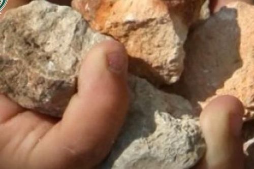 Phẫn nộ 5 cháu nhỏ ở Đắk Lắk bị đối xử thô bạo vì ném đá rơi trúng cổng nhà hàng xóm