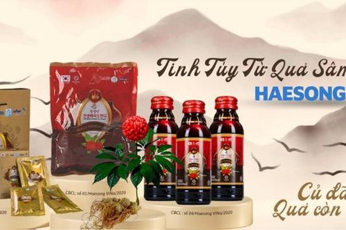 Chiết xuất quả nhân sâm: Vì sao nói củ đã tốt, quả còn tốt hơn?