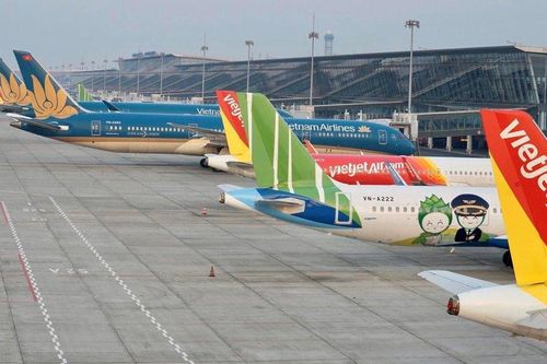 Cổ phiếu hàng không 'cất cánh', HVN, VJC đồng loạt tăng trần