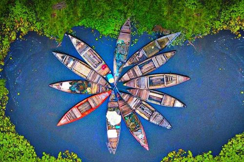 Độc đáo hệ sinh thái sông Đầm