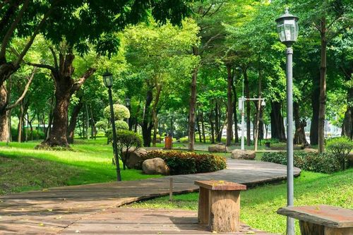 Chào tuần mới: Mảng xanh giữa nắng nóng