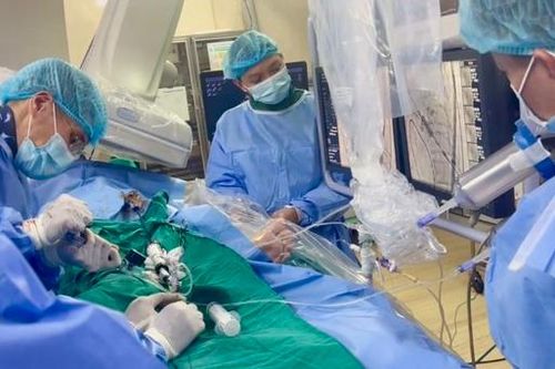 Sáng kiến cải tiến kỹ thuật cứu sống bệnh nhân nguy kịch