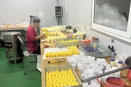 Công ty bò Mông ở Bắc Kạn chây ì nộp phạt