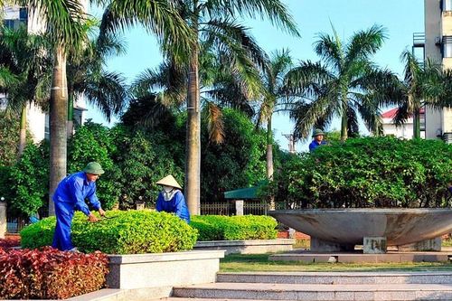 Trúng nhiều gói thầu 'khủng', Công ty Cây Xanh Công Minh lọt 'tầm ngắm'