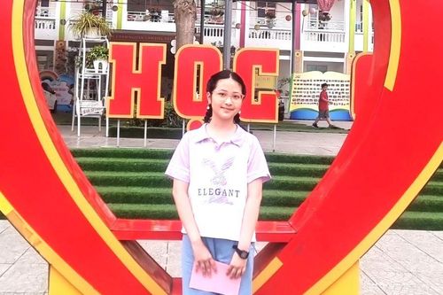 Phú Thọ có học sinh đạt thành tích cao nhất khối 5 tại kỳ thi IOE cấp Quốc gia