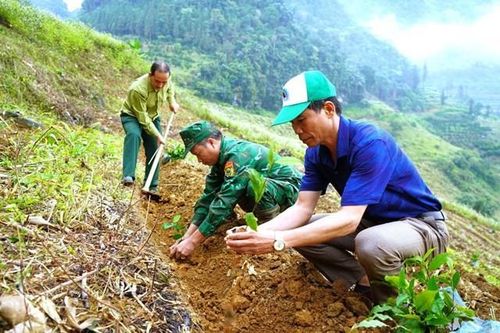 Tạo sinh kế cho đồng bào dân tộc vùng biên Nậm Chảy
