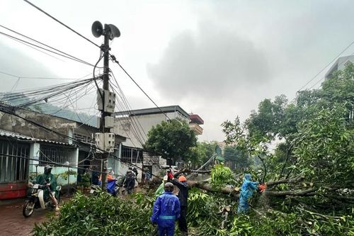 Mưa đá, giông lốc trút xuống Lào Cai trong đêm