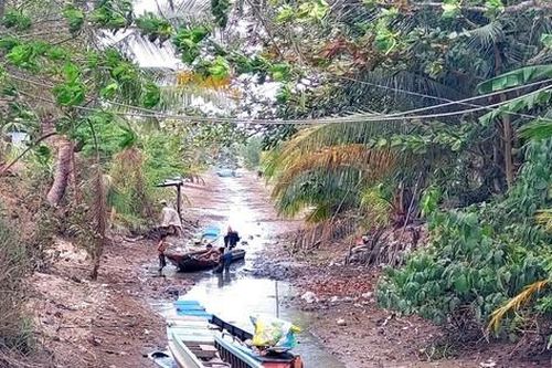 Cô lập carbon bằng phương pháp sinh học để ứng phó với xâm nhập mặn và nước biển dâng ở ĐBSCL