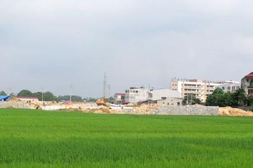 Bắc Giang thu hồi hơn ngàn ha đất trồng lúa