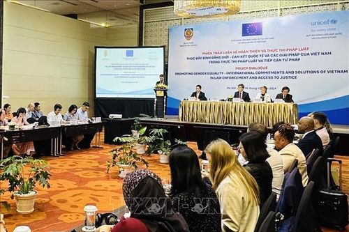 Việt Nam thể hiện cam kết mạnh mẽ đối với bình đẳng giới trong xây dựng pháp luật